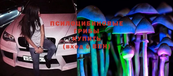 СК Гатчина