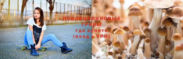 прущая мука Коряжма