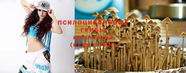 твердый Корсаков